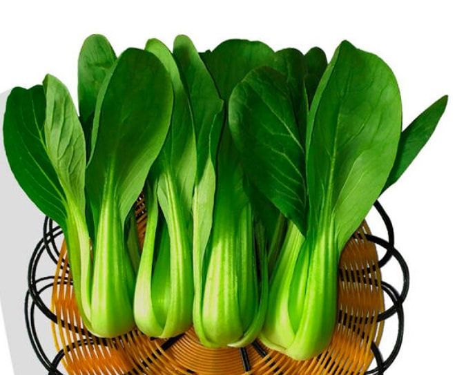 大年初五迎财神,5种“迎财菜”记得吃,接福纳财,财源滚滚来休闲区蓝鸢梦想 - Www.slyday.coM 大年初五迎财神,5种“迎财菜”记得吃,接福纳财,财源滚滚来休闲区蓝鸢梦想 - Www.slyday.coM