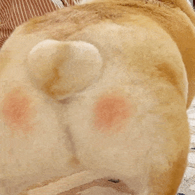 表情包不要啊球球你