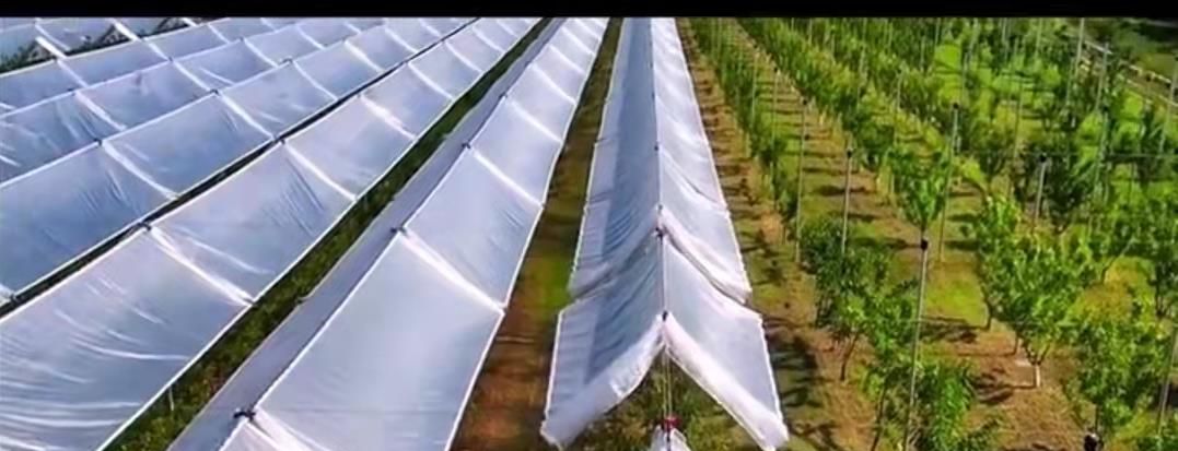 小哥种葡萄建自动伸缩避雨棚,一亩投资300一年多挣5000,啥样|陈凯