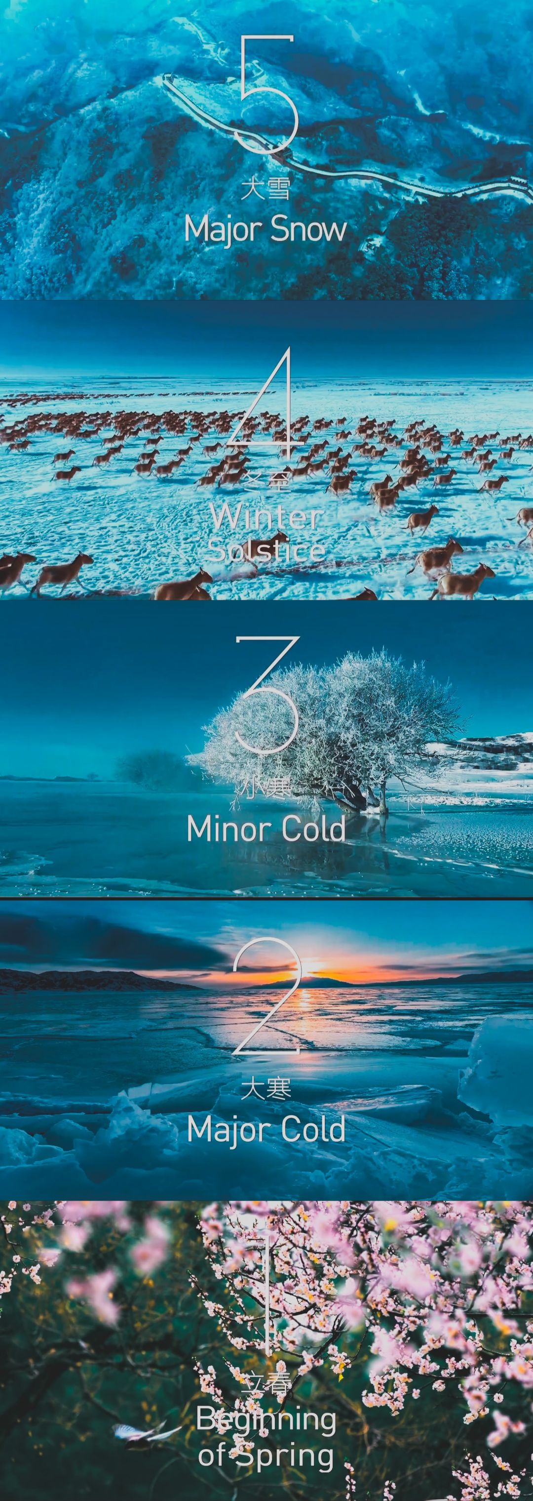 2022冬奥会开幕式休闲区蓝鸢梦想 - Www.slyday.coM