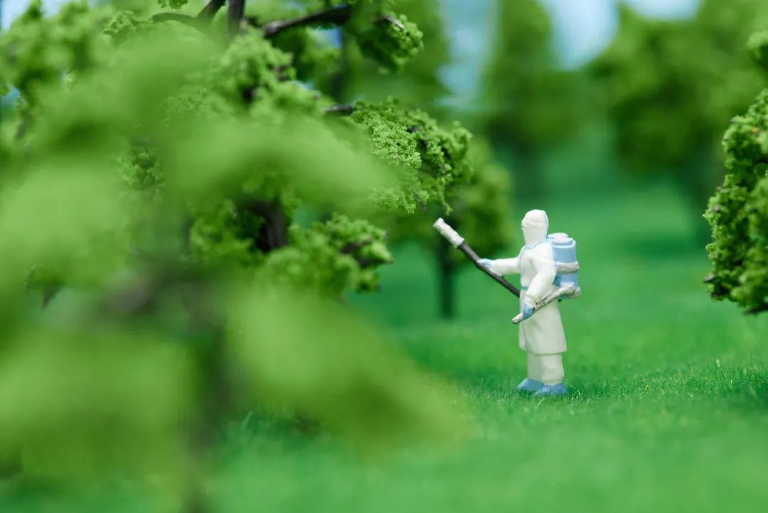 北京新增本土确诊+1！3例治愈出院！疫情得到明显控制！附出入京规定！休闲区蓝鸢梦想 - Www.slyday.coM