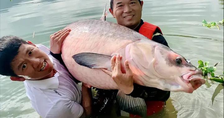 邓刚的成功,归结于他的好运气?|刘德华_新浪新闻