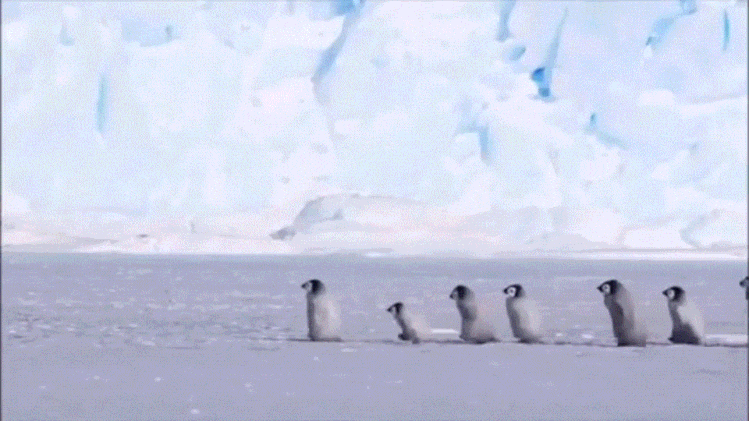 2022冬奥会开幕式休闲区蓝鸢梦想 - Www.slyday.coM