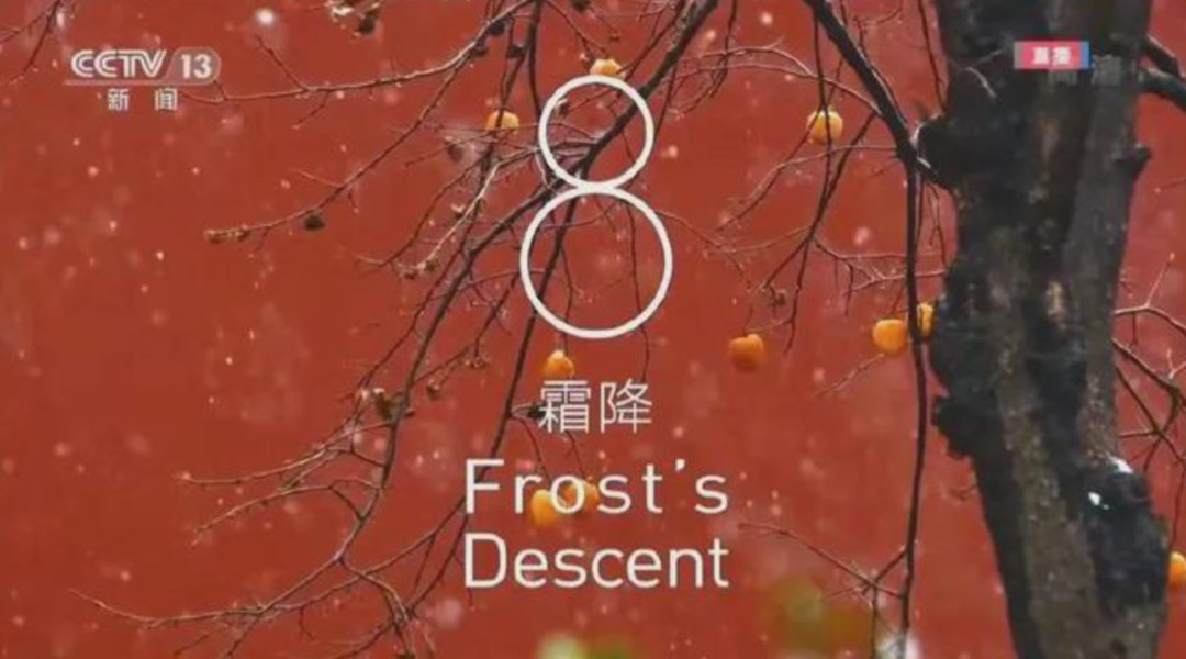 24节气倒计时绝了，一起来品“冬奥开幕式诗词大会”休闲区蓝鸢梦想 - Www.slyday.coM