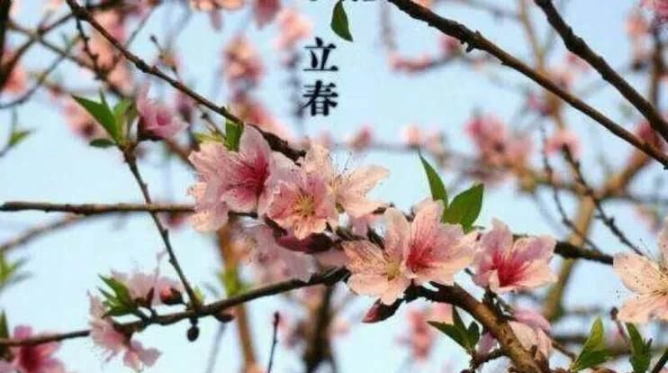 天气预报大年初四恰逢立春天气晴朗温暖有啥预兆农谚咋说