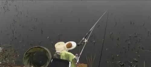 钓友识破钓鱼群里的“卧底”，用假钓点引出“电工”后，疯狂追赶休闲区蓝鸢梦想 - Www.slyday.coM