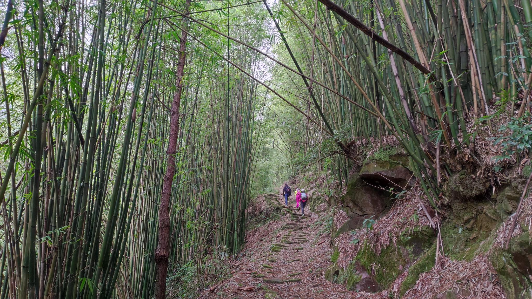 在山间，在水畔，在元宇宙之中：我们的玩乐｜能流物复休闲区蓝鸢梦想 - Www.slyday.coM