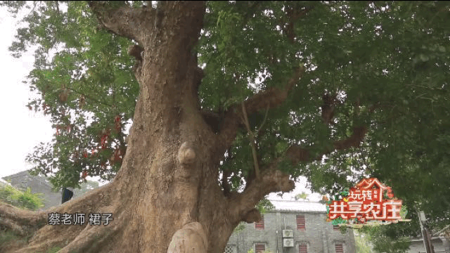 大年初六丨在海南侨乡第一宅，聆听下南洋的那些往事……休闲区蓝鸢梦想 - Www.slyday.coM