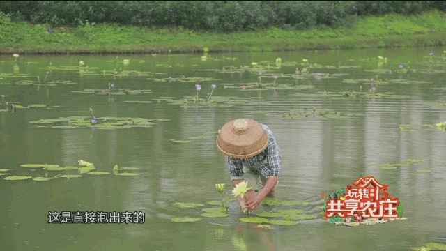 大年初六丨在海南侨乡第一宅，聆听下南洋的那些往事……休闲区蓝鸢梦想 - Www.slyday.coM