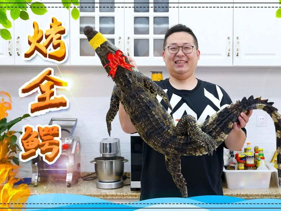 创作供给,从红油鳄龟,红烧鸵鸟,到酱香牛皮,烧烤鳄鱼……还能做什么菜