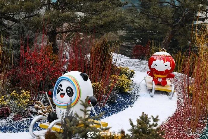 网友：强烈要求实现一户一墩！北京冬奥组委回应了休闲区蓝鸢梦想 - Www.slyday.coM