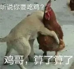 《熊出没》只是及格，但同行疯狂衬托休闲区蓝鸢梦想 - Www.slyday.coM