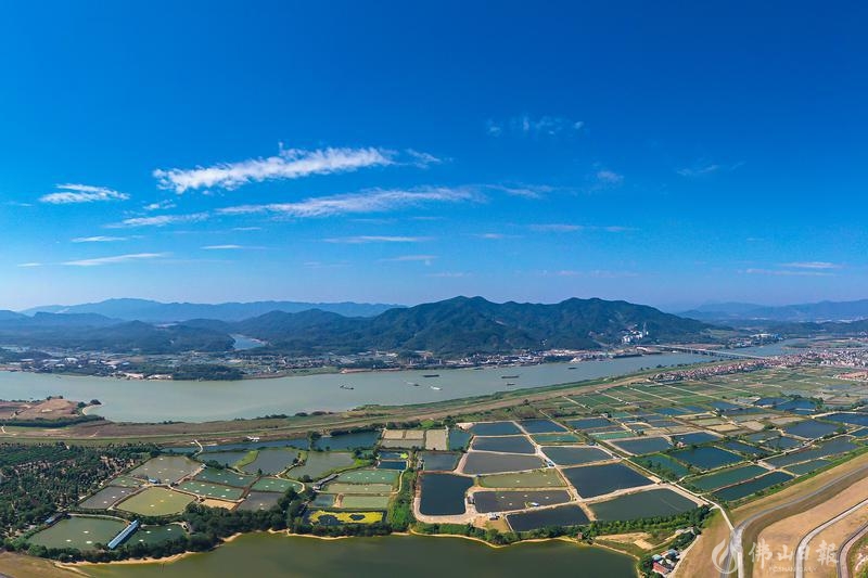 俯瞰三水区大塘镇环境优美,桑基鱼塘连片.佛山日报记者王澍摄