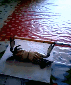 《熊出没》只是及格，但同行疯狂衬托休闲区蓝鸢梦想 - Www.slyday.coM