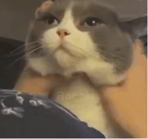 《熊出没》只是及格，但同行疯狂衬托休闲区蓝鸢梦想 - Www.slyday.coM