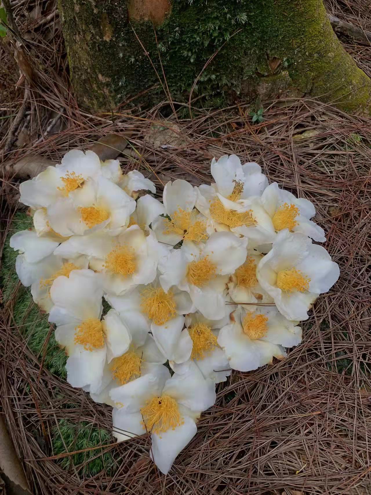 在山间，在水畔，在元宇宙之中：我们的玩乐｜能流物复休闲区蓝鸢梦想 - Www.slyday.coM