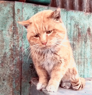 明天开工！20个好消息帮天津人拉满元气！休闲区蓝鸢梦想 - Www.slyday.coM