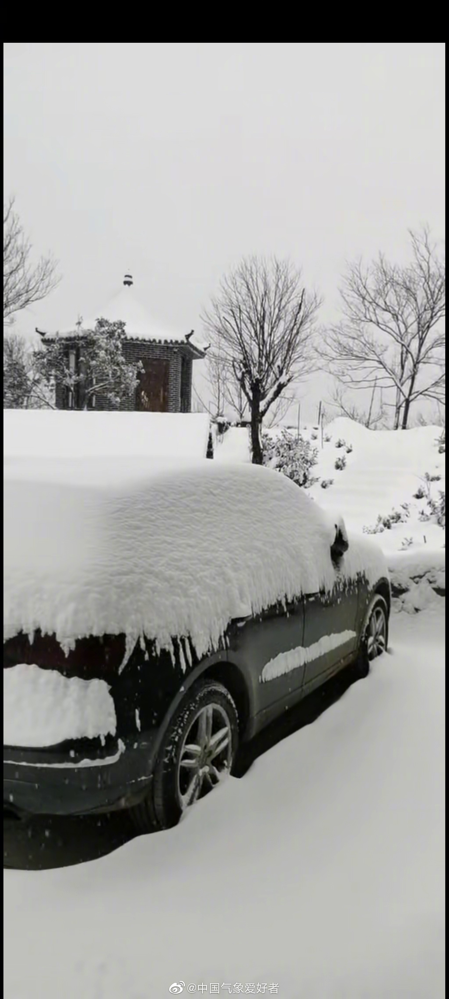 暴雪正确向上的图片图片