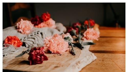 人到晚年才明白,兄弟姐妹之间结仇,是有原因的休闲区蓝鸢梦想 - Www.slyday.coM 人到晚年才明白,兄弟姐妹之间结仇,是有原因的休闲区蓝鸢梦想 - Www.slyday.coM