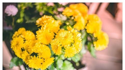 人到晚年才明白,兄弟姐妹之间结仇,是有原因的休闲区蓝鸢梦想 - Www.slyday.coM 人到晚年才明白,兄弟姐妹之间结仇,是有原因的休闲区蓝鸢梦想 - Www.slyday.coM