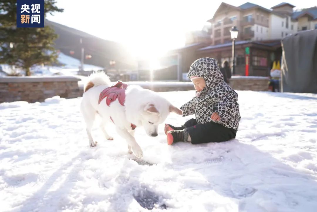 1岁萌娃，凭实力挣到一只“冰墩墩”！休闲区蓝鸢梦想 - Www.slyday.coM