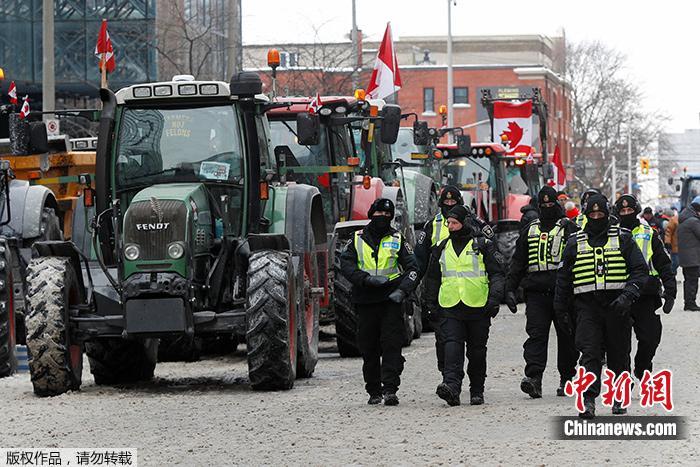 当地时间6日，加拿大渥太华，一队警员走过卡车司机示威现场。