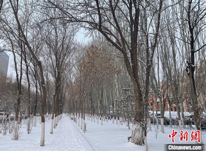 宁夏银川市迎来降雪。李亚楠 摄