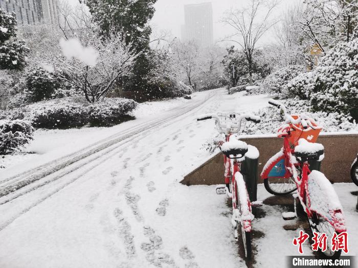杭州城区道路产生积雪。张雨滴 摄