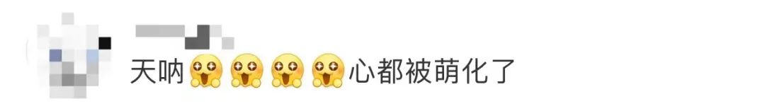 1岁萌娃，凭实力挣到一只“冰墩墩”！休闲区蓝鸢梦想 - Www.slyday.coM