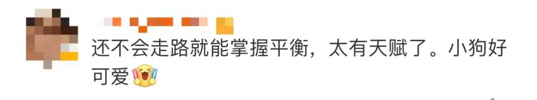 1岁萌娃，凭实力挣到一只“冰墩墩”！休闲区蓝鸢梦想 - Www.slyday.coM