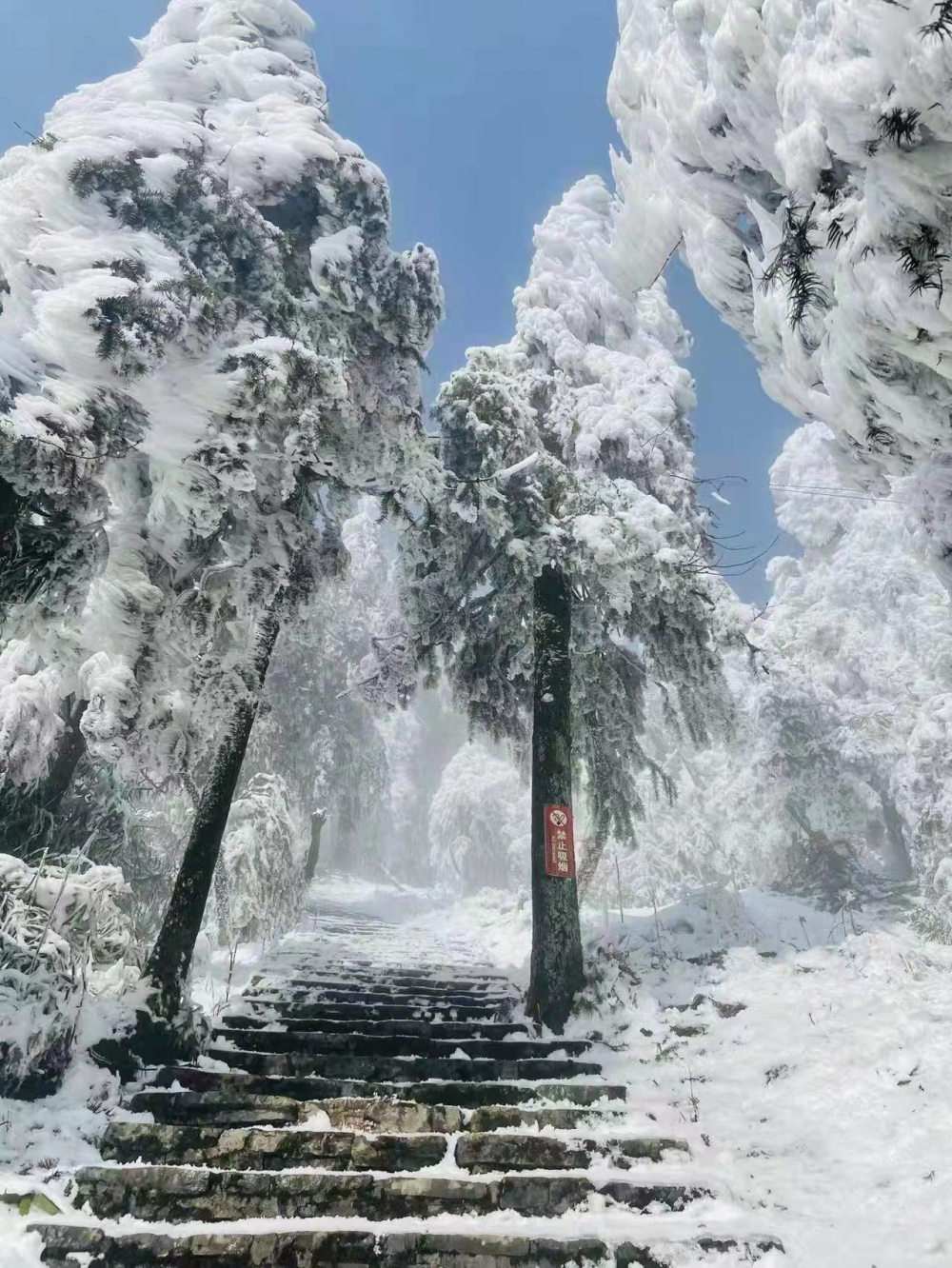 摩围山景区道路积雪结冰 2月7日起暂停对外开放_新浪新闻