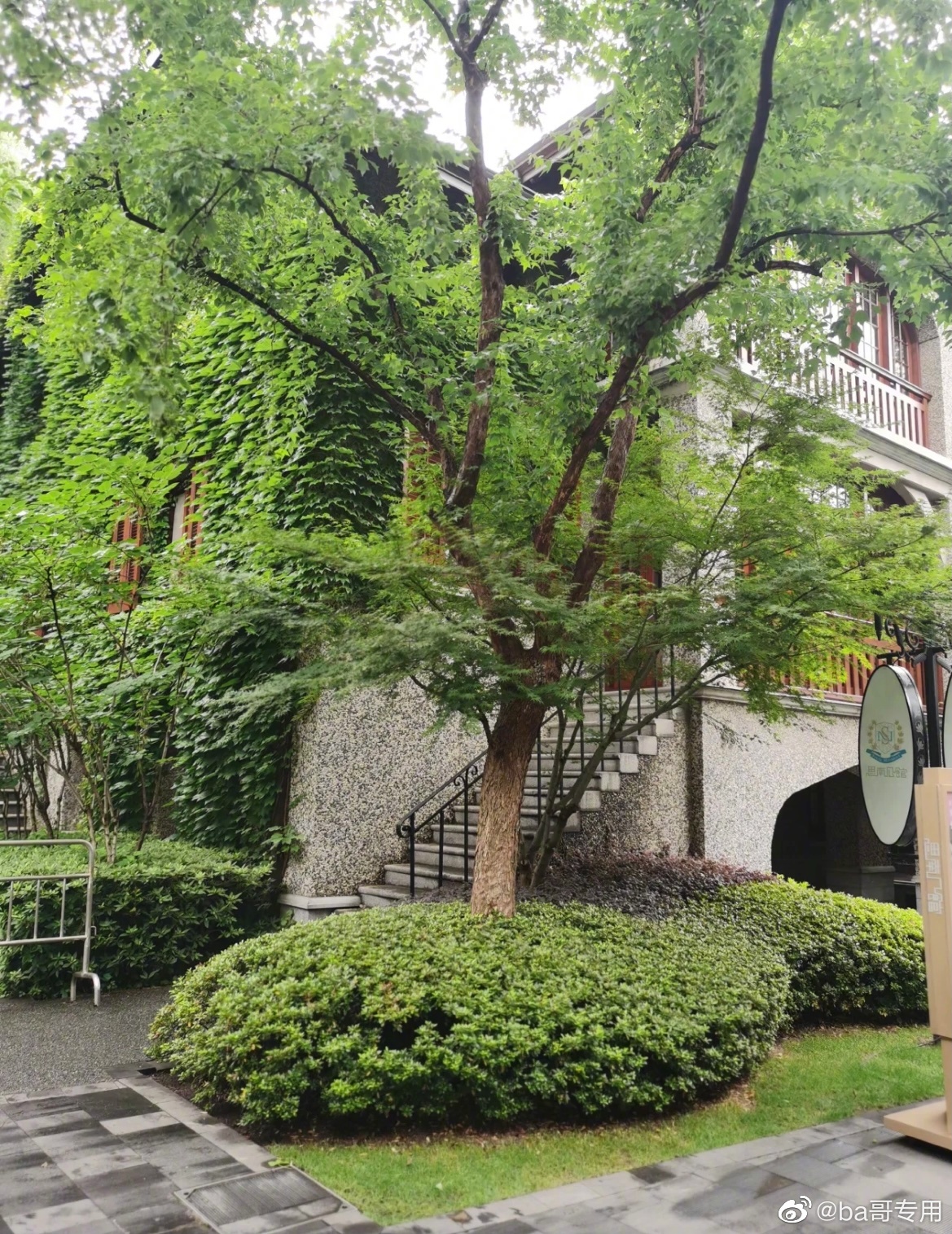 科普一下张杰谢娜买的上海豪宅——思南公馆|上海市|花园洋房_新浪