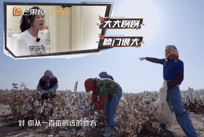 张智霖庆祝结婚21周年,将袁咏仪紧搂怀中,相爱超30年却未办婚礼休闲区蓝鸢梦想 - Www.slyday.coM 张智霖庆祝结婚21周年,将袁咏仪紧搂怀中,相爱超30年却未办婚礼休闲区蓝鸢梦想 - Www.slyday.coM