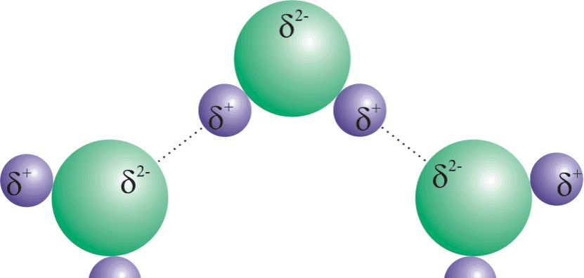 氢氧结合形成水分子,电子云就会偏向氧原子,这个时候氢原子这一侧就会