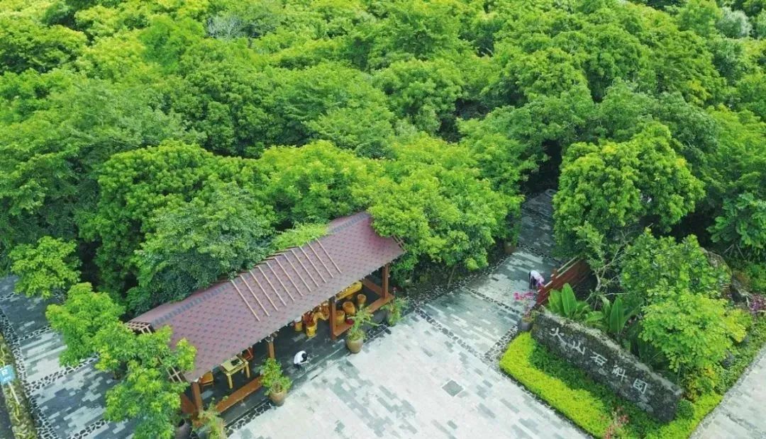 海口市秀英区石山镇施茶村