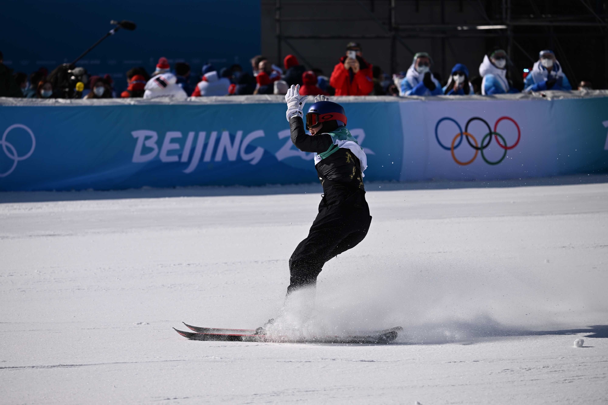 北京冬奥会高台跳雪图片