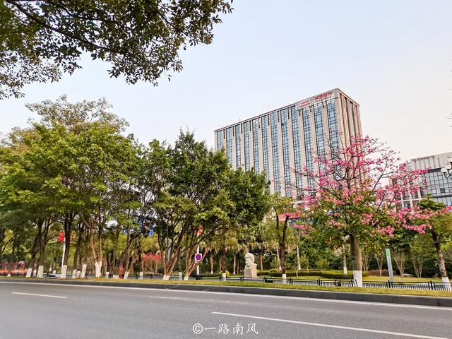 广州周边旅游景点排行_元旦出游数据出炉:三亚“宅酒店”最火,广州周边游上热门