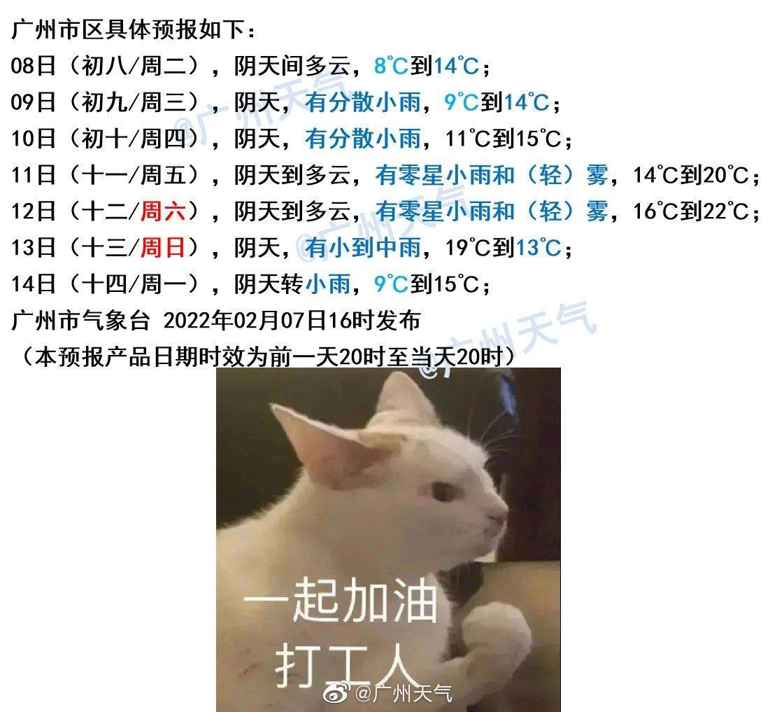 广州入冬失败了!|广州市_新浪新闻