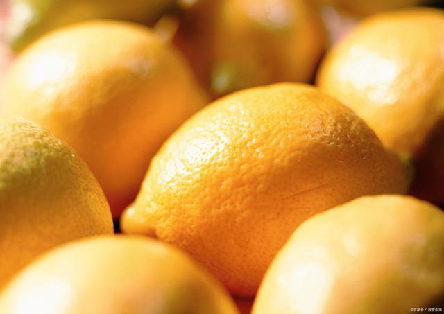 当主人身上有这气味时,猫咪闻了会有反应休闲区蓝鸢梦想 - Www.slyday.coM 当主人身上有这气味时,猫咪闻了会有反应休闲区蓝鸢梦想 - Www.slyday.coM