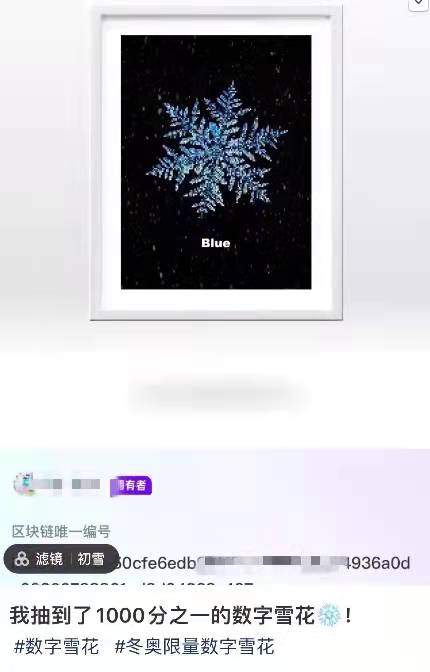 抢不到冰墩墩的年轻人，盯上了冬奥雪花NFT休闲区蓝鸢梦想 - Www.slyday.coM