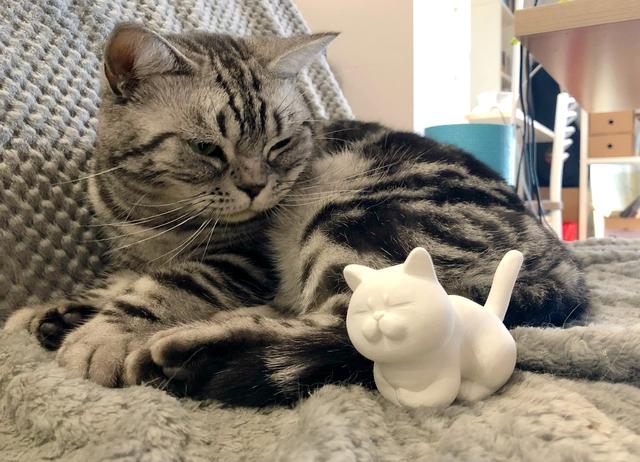 当主人身上有这气味时,猫咪闻了会有反应休闲区蓝鸢梦想 - Www.slyday.coM 当主人身上有这气味时,猫咪闻了会有反应休闲区蓝鸢梦想 - Www.slyday.coM