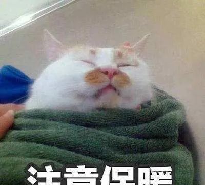 断崖式降温＋下雪！北京周末开启颤抖模式！休闲区蓝鸢梦想 - Www.slyday.coM