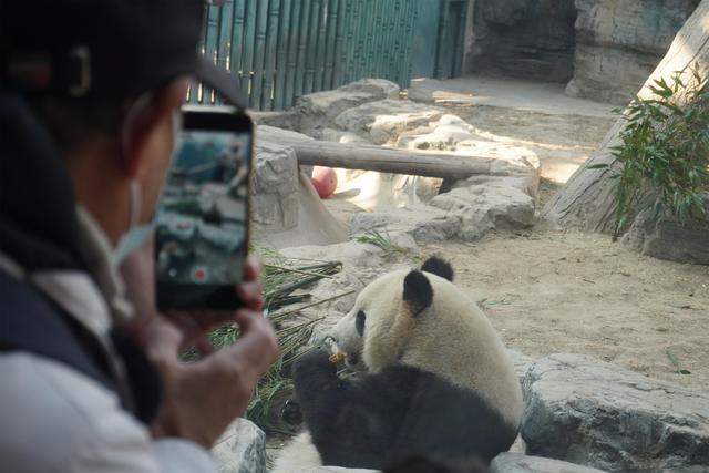 635亿身价湖南女首富杀回顾了-再见“四叔”李兆基：从金铺神童到商界巨擘-盘货2024年爆火的3位美女网红你了解几个？（秀智的心头爱！这款CELINE包正在韩国为何这样炎热？）