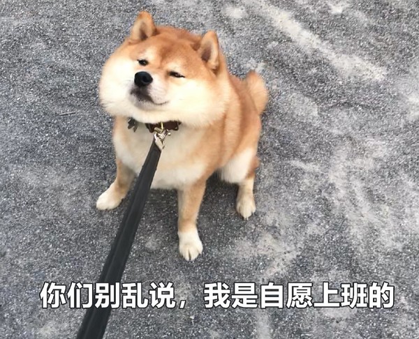 年轻人为什么喜欢线上办公？丰富的物质与难掩的焦虑休闲区蓝鸢梦想 - Www.slyday.coM