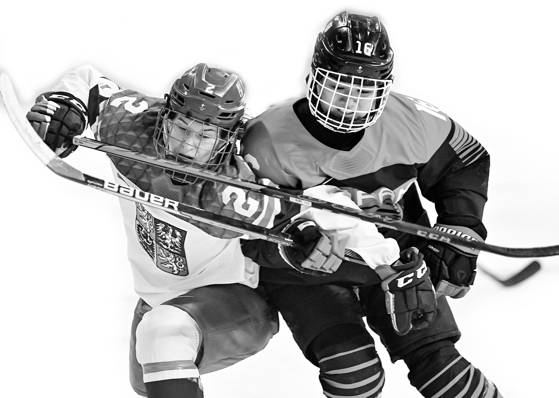 女子冰球小组赛日本队胜捷克队