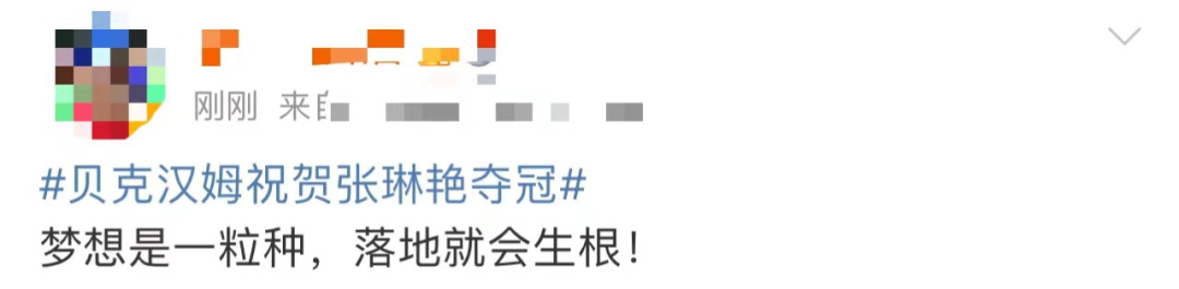 梦幻联动！贝克汉姆发文恭喜川妹子张琳艳休闲区蓝鸢梦想 - Www.slyday.coM