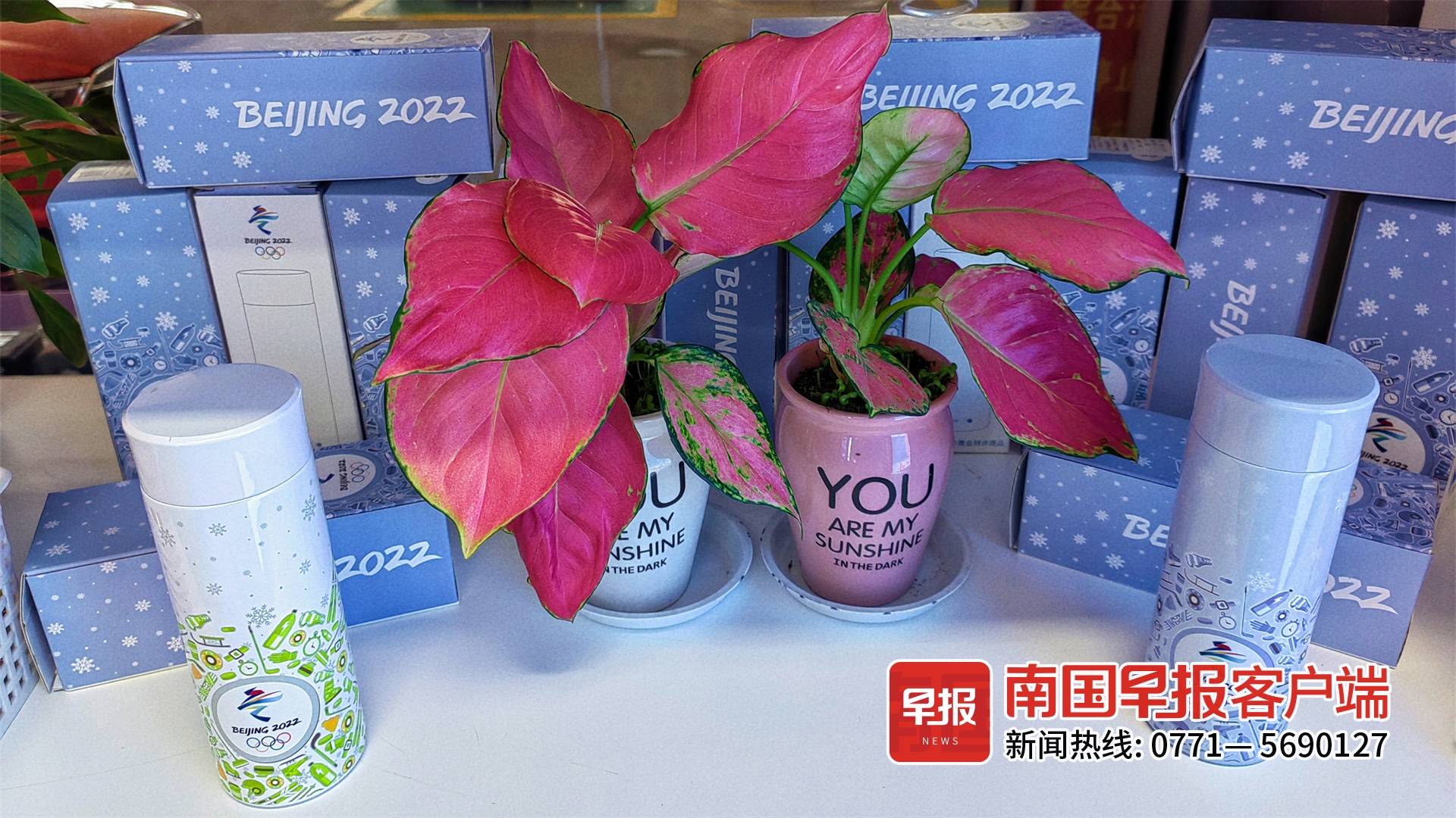 “冬奥效应”持续在南宁升温！多款周边产品被抢购一空休闲区蓝鸢梦想 - Www.slyday.coM