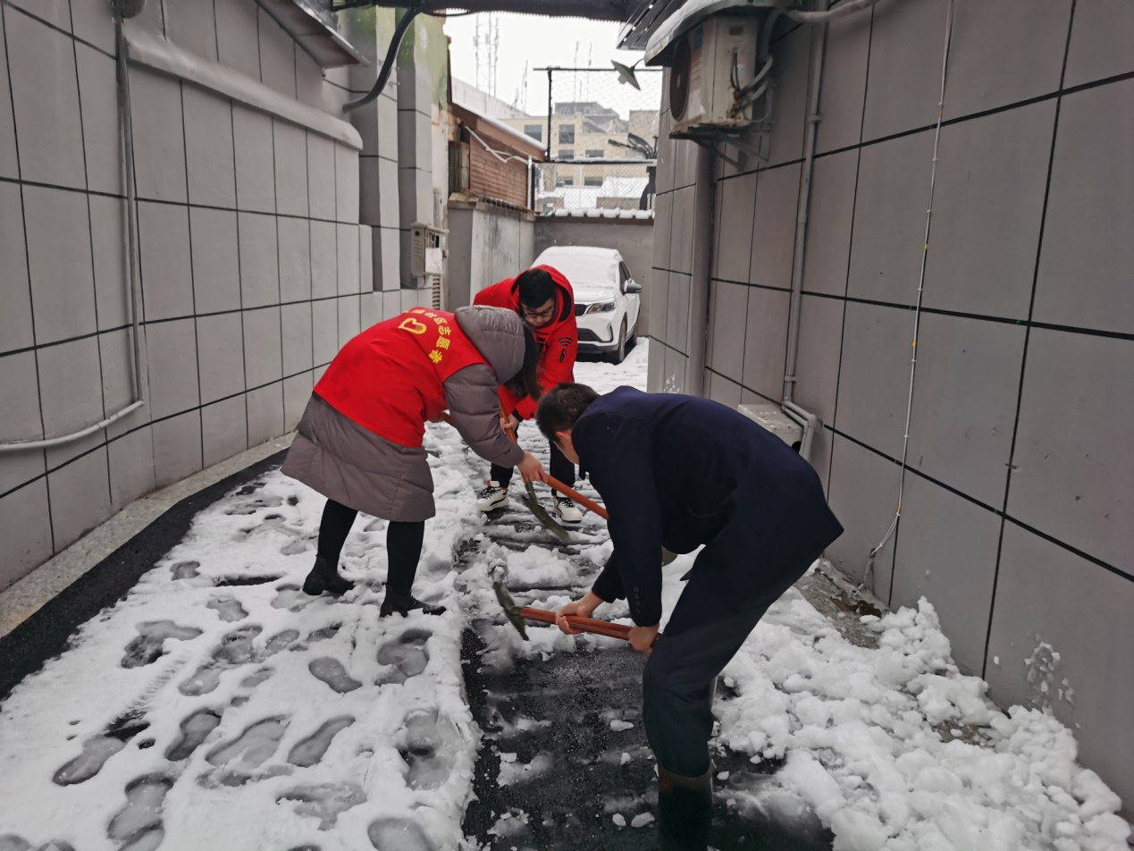 党旗飘扬在一线 志愿服务暖人心——湓浦社区开展铲雪除冰活动|志愿