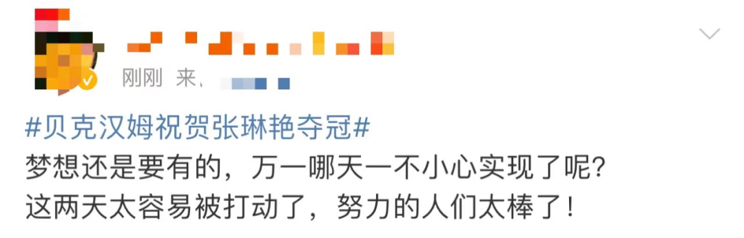 梦幻联动！贝克汉姆发文恭喜川妹子张琳艳休闲区蓝鸢梦想 - Www.slyday.coM