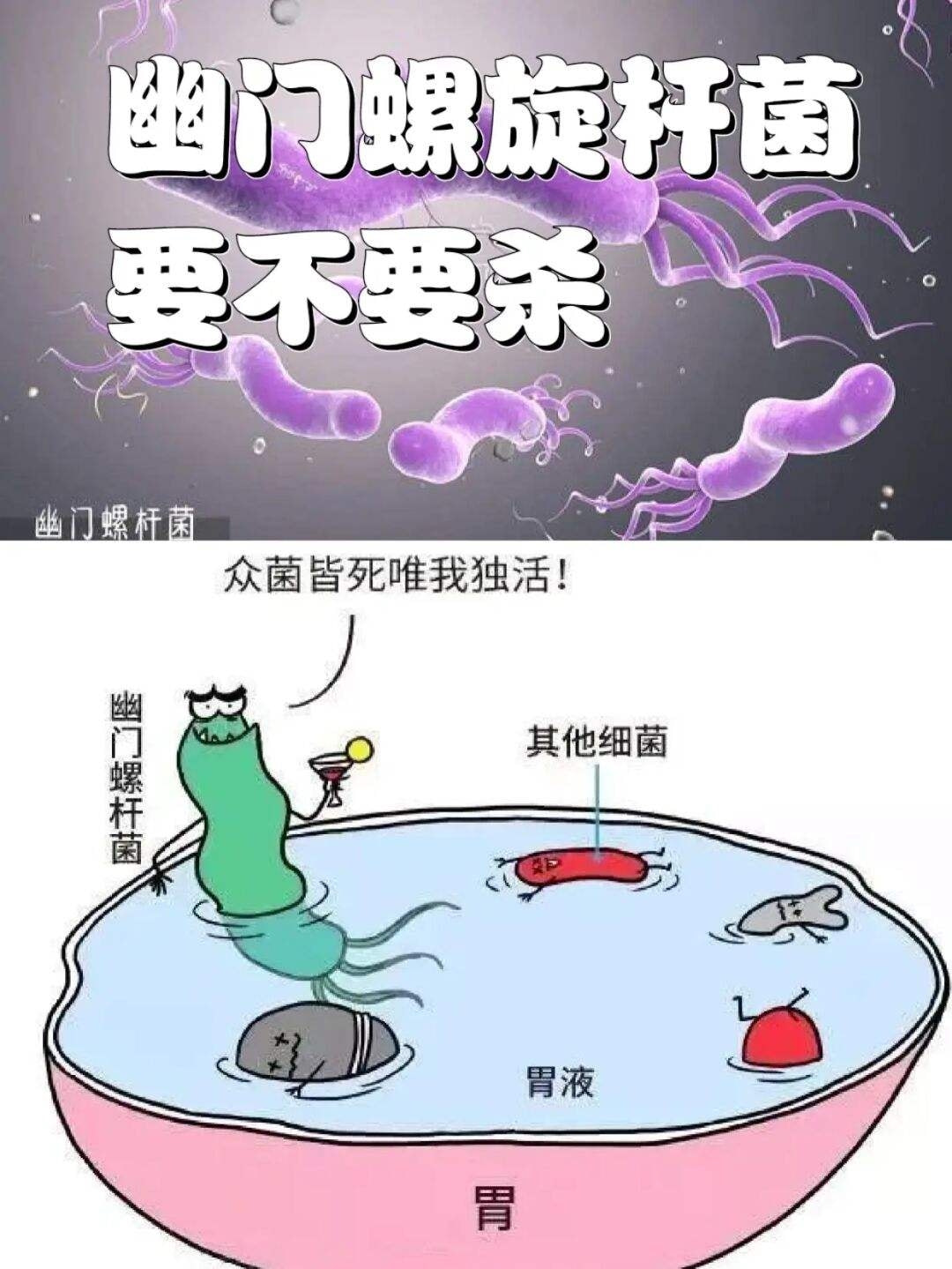 小儿推拿杨晓：儿童感染幽门螺杆菌的原因症状？需不需要检测治疗休闲区蓝鸢梦想 - Www.slyday.coM